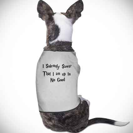 Harry Potter Quote Dog Clothes
