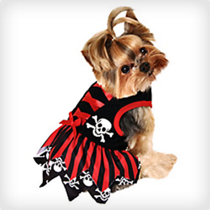 Red Pirate Dog Costume