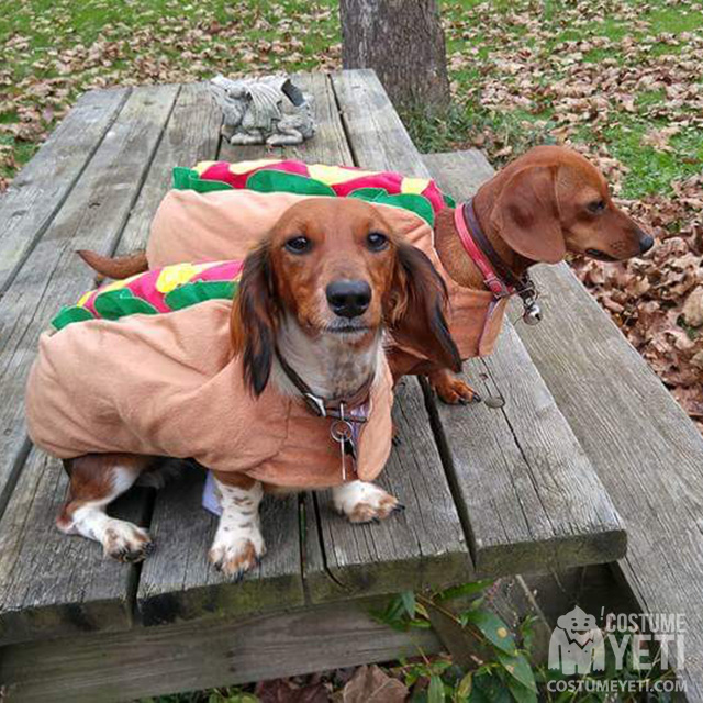 Weiner Dogs Hot Dog Costume