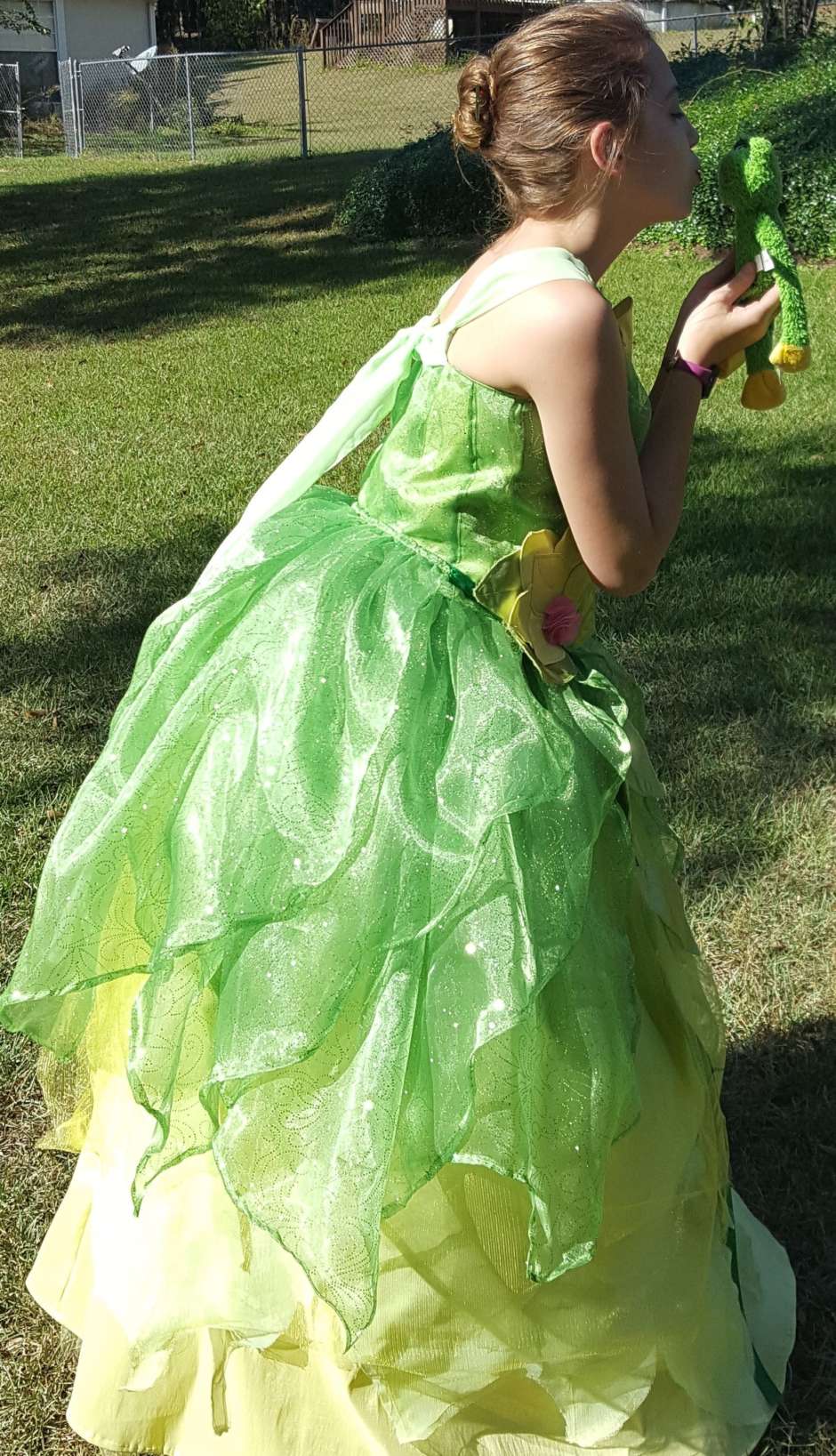 Frog hotsell princess dress