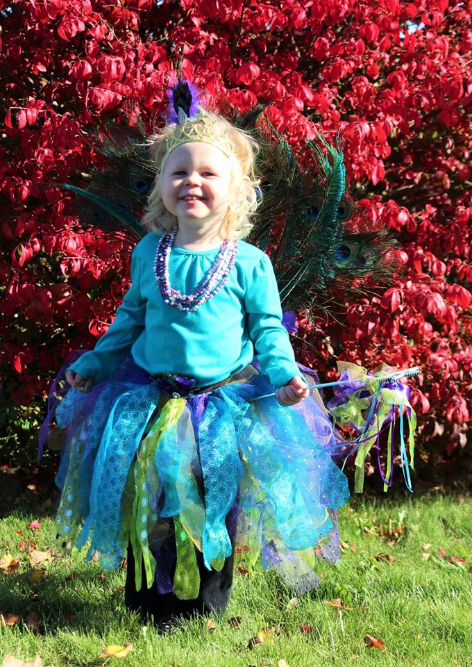 Homemade Peacock Princess Costume - Costume Yeti