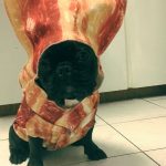 Bacon Costume for Dogs