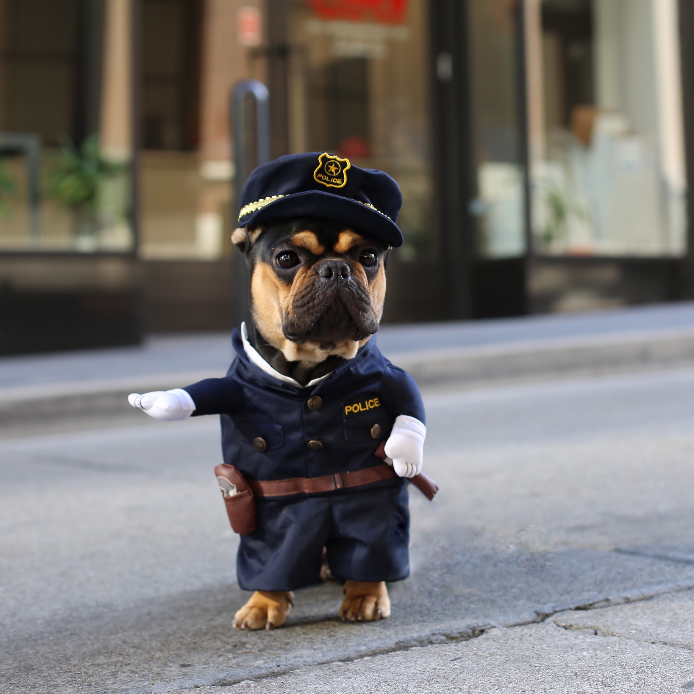 Dog Police Costume with Necktie – Frenchiely